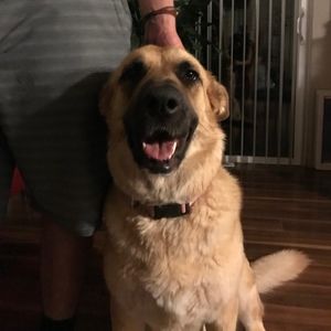 Meet your Posher, Jorge